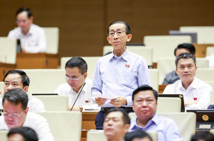  Đại biểu Trần Hoàng Ngân (TPHCM). Ảnh: VIẾT CHUNG 