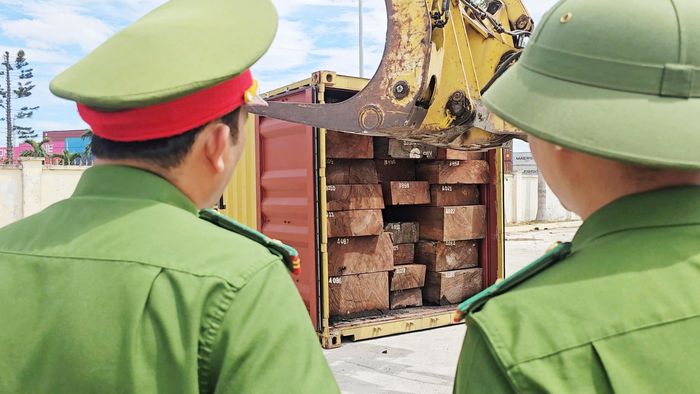 Lực lượng chức năng đang lật tẩy số ngà voi ngụy trang hàng gỗ nhập khẩu