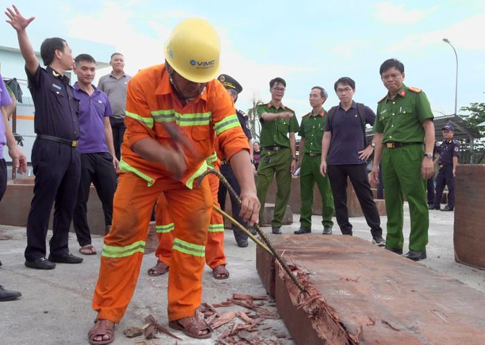 Số ngà voi "đội lốt" những hộp gỗ nhập khẩu
