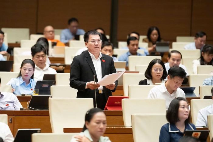 Đại biểu Dương Khắc Mai. Ảnh: Media Quốc hội.