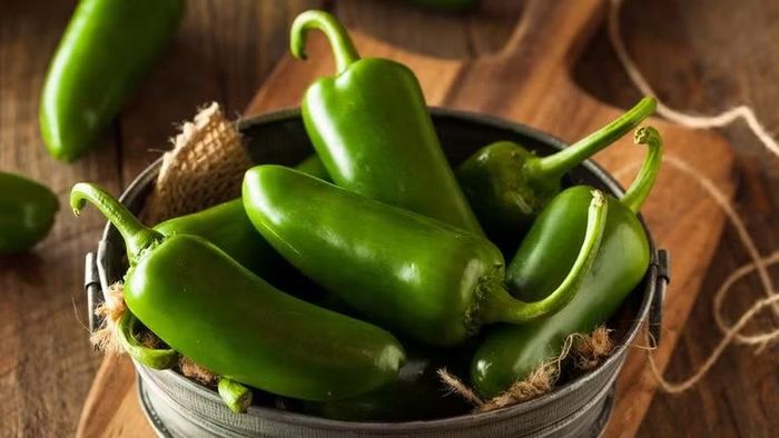 Ớt jalapeno được trồng tại bang Sinaloa của Mexico.