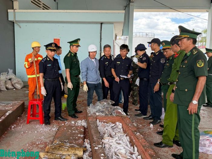 Lực lượng chức năng kiểm đếm ngà voi. Ảnh: Công Cường