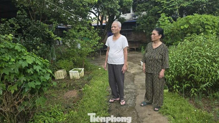 Vợ chồng bà Đào Thị Miên bên 2 lô đất được chủ đầu tư hứa bán