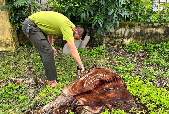 Liên quan tới vụ việc này, Tỉnh uỷ, UBND tỉnh Gia Lai đã có chỉ đạo lực lượng chức năng vào cuộc xác minh, xử lý.