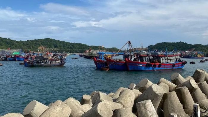 Khu neo đậu tránh trú bão đặc khu Cô Tô.