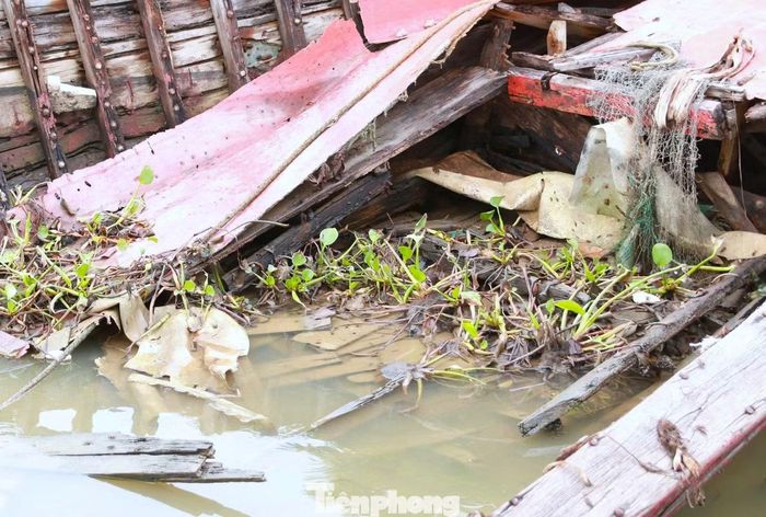 Lạch Vạn là tuyến đường thủy quan trọng phục vụ khai thác, vận chuyển thủy hải sản và neo đậu tàu cá. Tuy nhiên, những phương tiện hết khả năng hoạt động tồn tại lâu ngày đang chiếm dụng không gian, trở thành chướng ngại vật, tiềm ẩn nguy cơ mất an toàn, nhất là khi tàu lớn ra vào luồng hoặc thời tiết xấu.