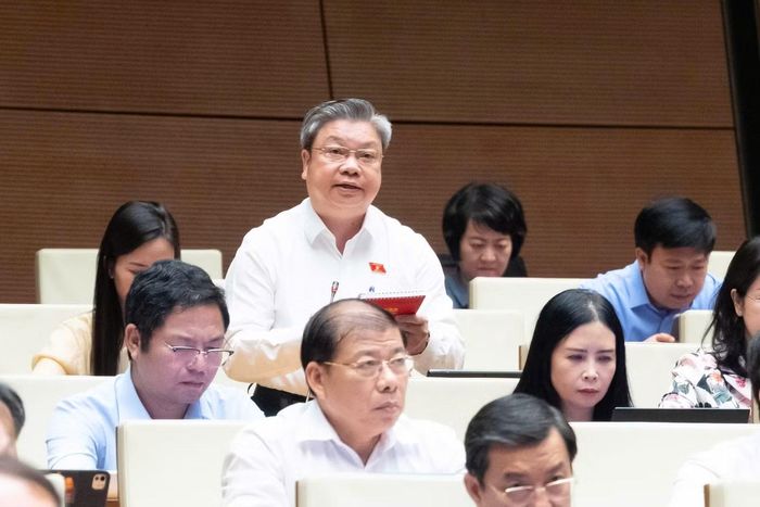 Đại biểu Bùi Văn Dũng.