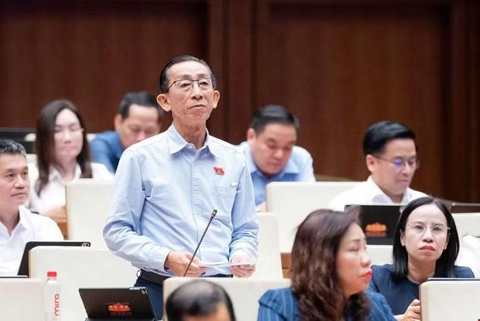 Đại biểu Trần Hoàng Ngân.