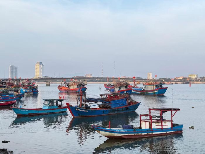 Các cảng cá tư nhân cũng bị phát hiện để xảy ra nhiều sai phạm.