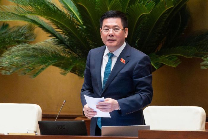Phó Chủ tịch Quốc hội Nguyễn Hồng Diên kết luận phiên họp.