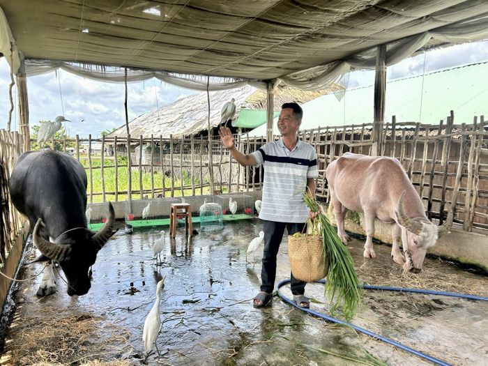 Màn biểu diễn đặc biệt của ông Lê Văn Càng cùng các "thú cưng" khiến du khách thích thú.