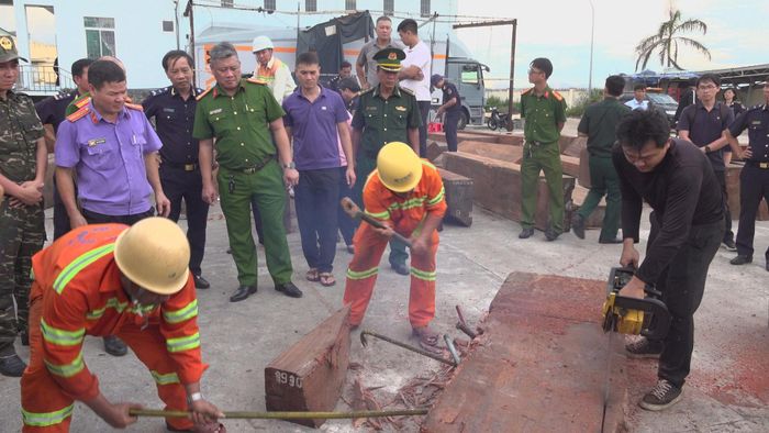 Ngà voi được giấu trong lô hàng nhập khẩu từ Cộng hòa Congo về Việt Nam.