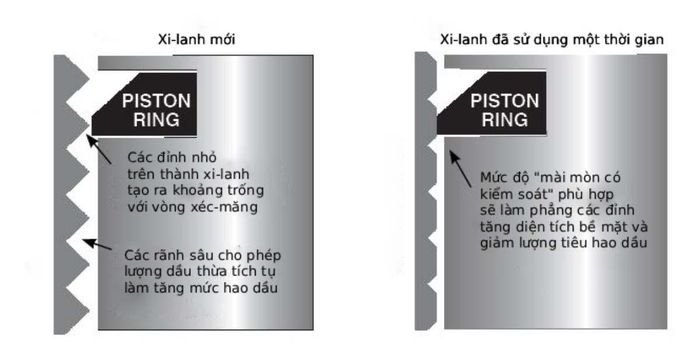 Tác dụng của dầu chạy rà là để các đỉnh nhỏ trên thành xi-lanh được san bằng và giúp vòng xéc-măng làm kín tốt hơn. Ảnh: Amsoil
