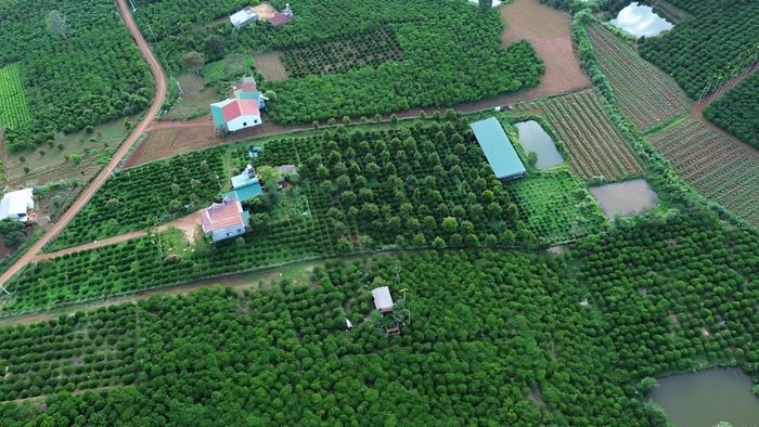 Nông trại xanh mát của vợ chồng chị Ngọc Anh nhìn từ trên cao