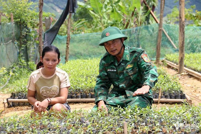 Bộ đội Biên phòng hỗ trợ người Chứt trồng cây dó trầm, phát triển kinh tế.
