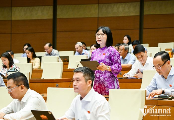 Đại biểu Nguyễn Thị Việt Nga