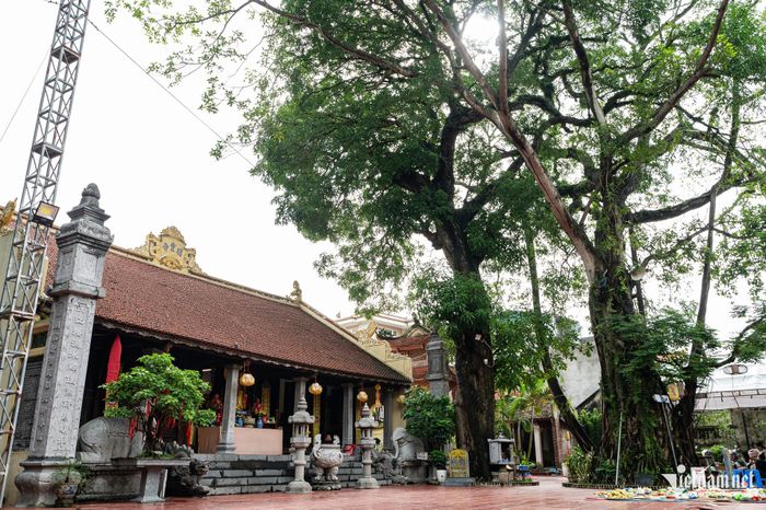 Không gian thanh tịnh trong ngôi chùa Cự Đà