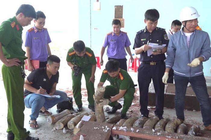 Gần 1,2 tấn ngà voi và 80kg xương động vật là tang vật trong vụ án. Ảnh: Công an tỉnh Gia Lai