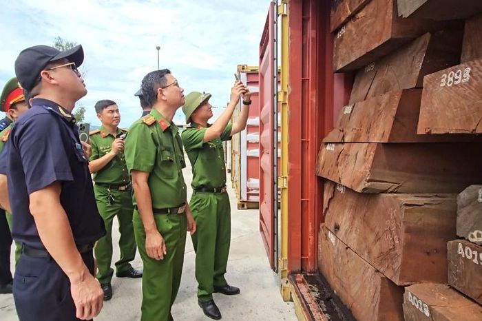 Lực lượng chức năng kiểm tra lô hàng do Công ty Cổ phần Dịch vụ Thương mại và Dịch thuật T.C. đứng tên, nhập khẩu từ Cộng hòa Congo về Việt Nam. Ảnh: Công an tỉnh Gia Lai
