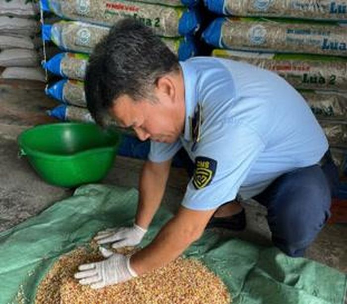 Lực lượng QLTT kiểm tra cơ sở buôn bán phân bón tại xã Hòn Đất, tỉnh An Giang.