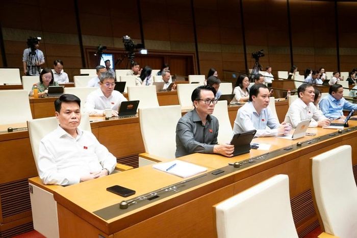   Các đại biểu tham dự phiên thảo luận (Ảnh: CTTĐT Quốc hội).