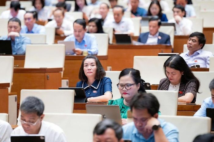 Các đại biểu tham dự phiên thảo luận (Ảnh: CTTĐT Quốc hội).
