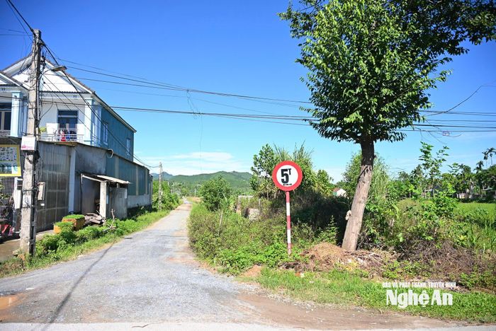 Dự án tuyến đường nối từ đường mòn Hồ Chí Minh đi vào vùng nguyên liệu trồng chè, cam thuộc xóm Thành Công. Ảnh: Thành Cường.