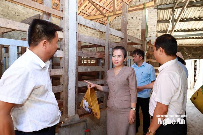 Đây là một trong những mô hình chăn nuôi có tiềm năng phát triển tại địa phương, góp phần đa dạng hóa sản phẩm nông nghiệp, nâng cao giá trị kinh tế và thu nhập cho người dân.