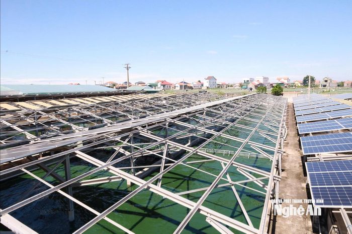 Khu vực nuôi cấy tảo của công ty.