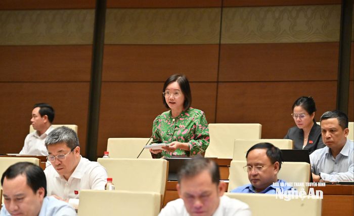 Đại biểu Thái Thị An Chung phát biểu góp ý vào dự thảo luật. Ảnh: Viết Chung