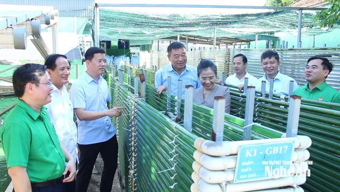 Đoàn công tác tham quan dây chuyền tổng hợp tảo xoắn Spirulina.