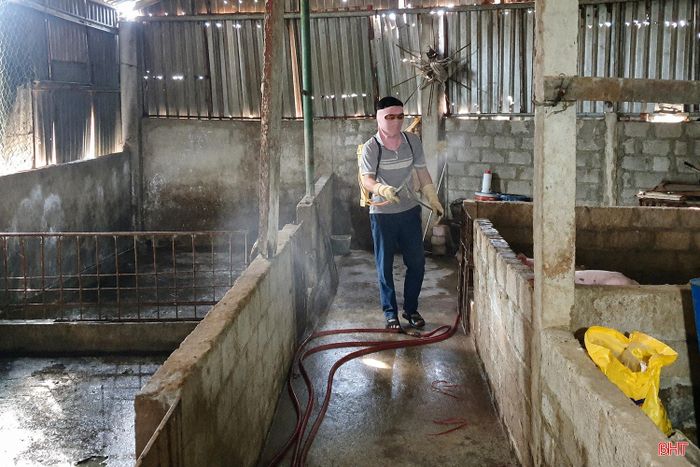 Tại khu vực chăn nuôi nông hộ, nhiều hộ thực hiện tiêu độc, khử trùng, vệ sinh chuồng trại để chuẩn bị cho đợt nuôi mới.
