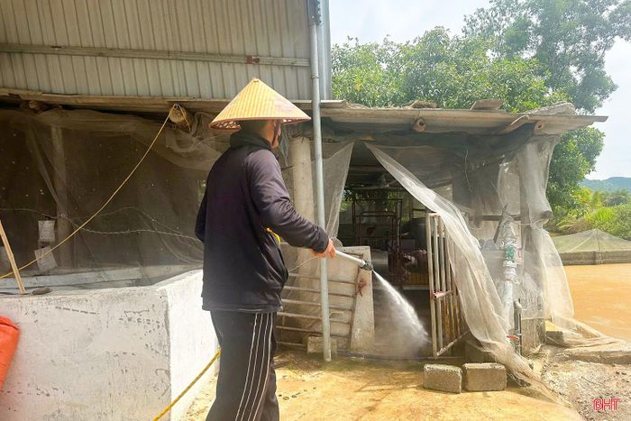 Anh Trần Mạnh Hùng (thôn Trà Sơn, xã Trường Lưu) chủ động thực hiện các giải pháp phòng, chống dịch bệnh trên đàn lợn.