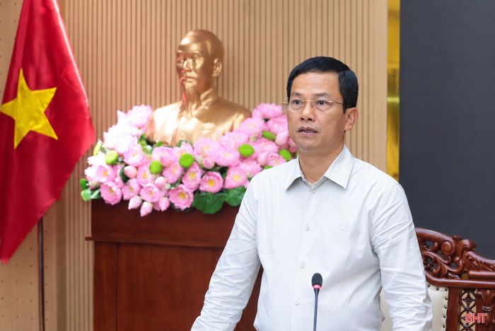 Đồng chí Nguyễn Trọng Hiếu – Ủy viên BTV Tỉnh ủy, Phó Chủ tịch UBND tỉnh kết luận cuộc họp.