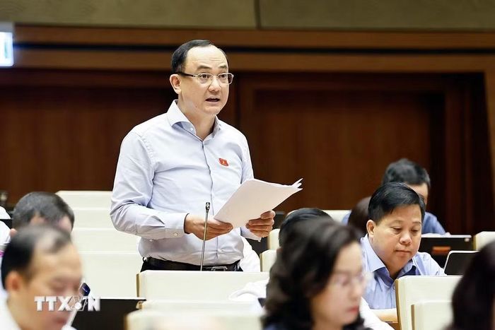 Đại biểu Nguyễn Ngọc Sơn (đoàn Đại biểu Quốc hội thành phố Hải Phòng) phát biểu tại hội trường. (Ảnh: Doãn Tấn/TTXVN)