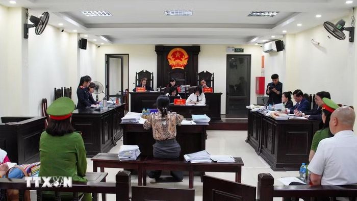 Quang cảnh phiên tòa sơ thẩm. (Ảnh: Khánh Duy/TTXVN phát)