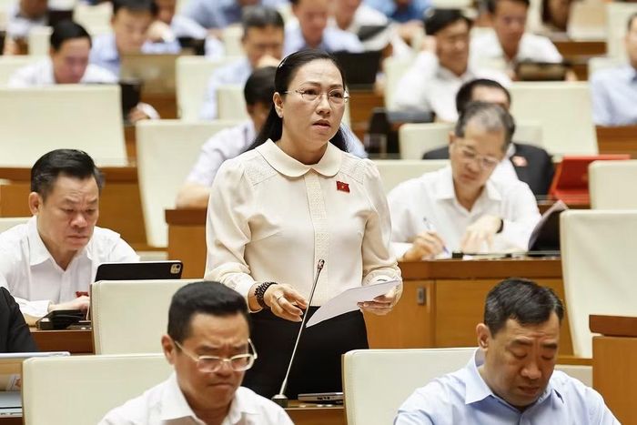 Đại biểu Quốc hội tỉnh Vĩnh Long Nguyễn Thị Yến Nhi phát biểu. (Ảnh: Doãn Tấn/TTXVN)