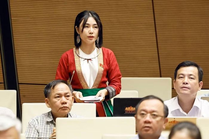 Đại biểu Quốc hội tỉnh Thanh Hoá Nguyễn Lê Ngọc Linh phát biểu. (Ảnh: Doãn Tấn/TTXVN)
