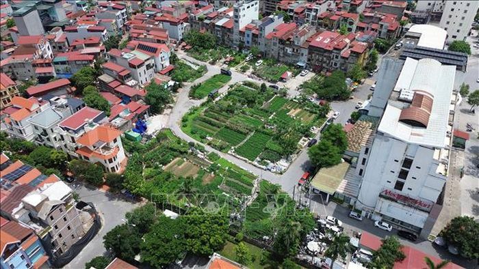 Toàn cảnh Dự án khu nhà ở Đồng Khí Tượng (hay được gọi là Sau Thuần), phường Võ Cường, tỉnh Bắc Ninh được đưa vào kế hoạch kiểm tra, xử lý, giải quyết khiếu nại, tố cáo đang được tỉnh tập trung giải quyết. Ảnh minh họa: Thái Hùng/TTXVN