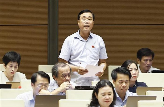 Đại biểu Quốc hội tỉnh Phú Thọ Nguyễn Cao Sơn phát biểu. Ảnh: Doãn Tấn/TTXVN