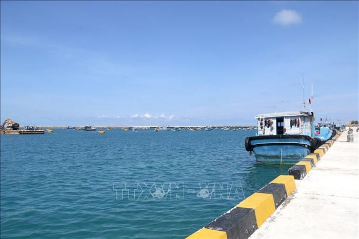 Khu tránh bão Phú Quý (thôn Triều Dương) được bố trí là điểm lên cá tạm từ tháng 10 đến tháng 3 năm sau tại đặc khu Phú Quý (Lâm Đồng).