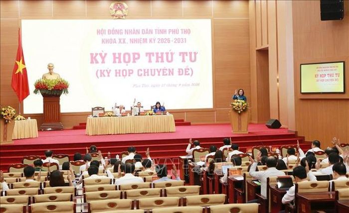 Các đại biểu biểu quyết tại Kỳ họp.