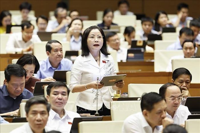 Đại biểu Quốc hội tỉnh Đắk Lắk Nguyễn Thị Thu Nguyệt phát biểu. Ảnh: Doãn Tấn/TTXVN