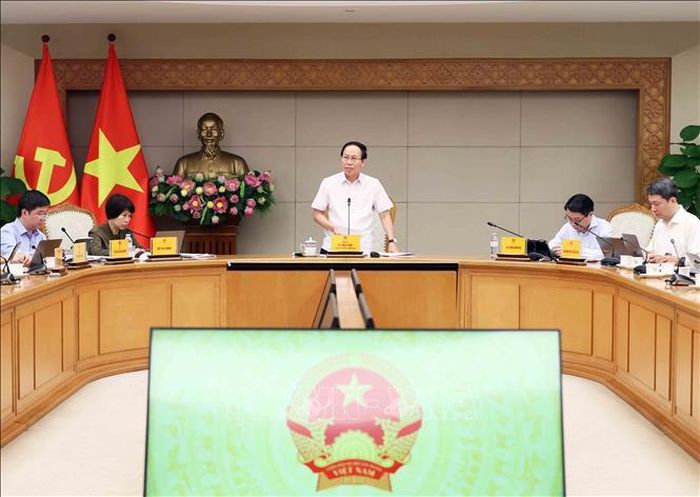 Phó Thủ tướng Lê Tiến Châu phát biểu tại buổi làm việc. Ảnh: An Đăng/TTXVN