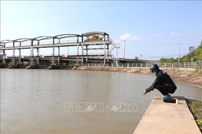 Nhân viên Xí nghiệp Thủy nông 04 lấy nước tại cống Láng Thé (xã Nhị Long, tỉnh Vĩnh Long) để kiểm tra độ mặn. Ảnh tư liệu: Thanh Hòa/TTXVN