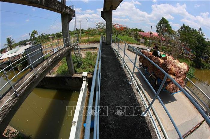 Cần Thơ sẽ chuyển mạnh từ xây dựng nền tảng sang nâng cao chất lượng triển khai, nhân rộng các mô hình hiệu quả và tăng cường sự tham gia chủ động của cộng đồng. Ảnh: Duy Khương/TTXVN
