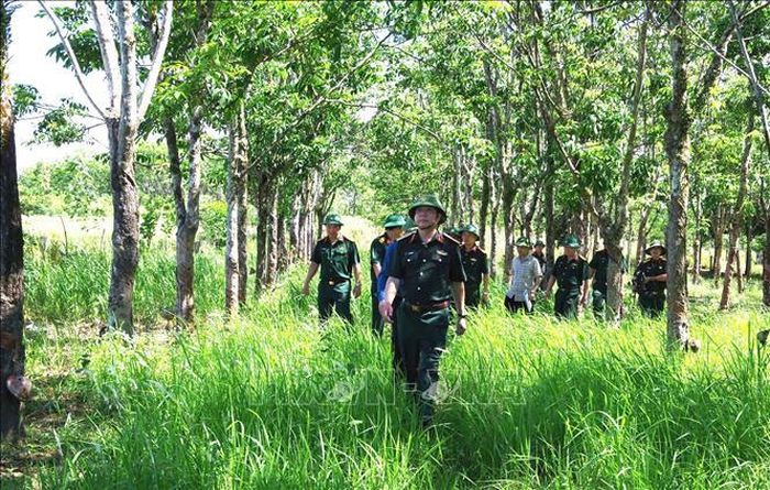 Các đại biểu nghiên cứu, khảo sát thực địa ở khu vực Cồn Tiên. Ảnh: TTXVN phát