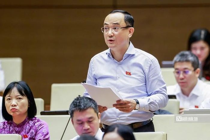 Đại biểu Nguyễn Ngọc Sơn phát biểu (Ảnh: Hữu Thắng).