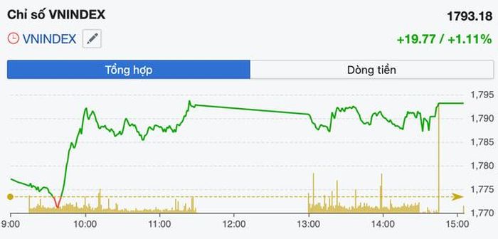 Diễn biến VN-Index trong phiên 12/8 (Ảnh: FireAnt).