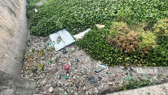 Khoảng 500 m đoạn kênh Nước Đen giao với đoạn kênh tham Lương ngập ngụa rác thải, lục bình dày đặc.